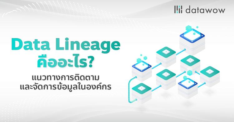 Data Lineage คืออะไร? แนวทางการติดตามและจัดการข้อมูลในองค์กร